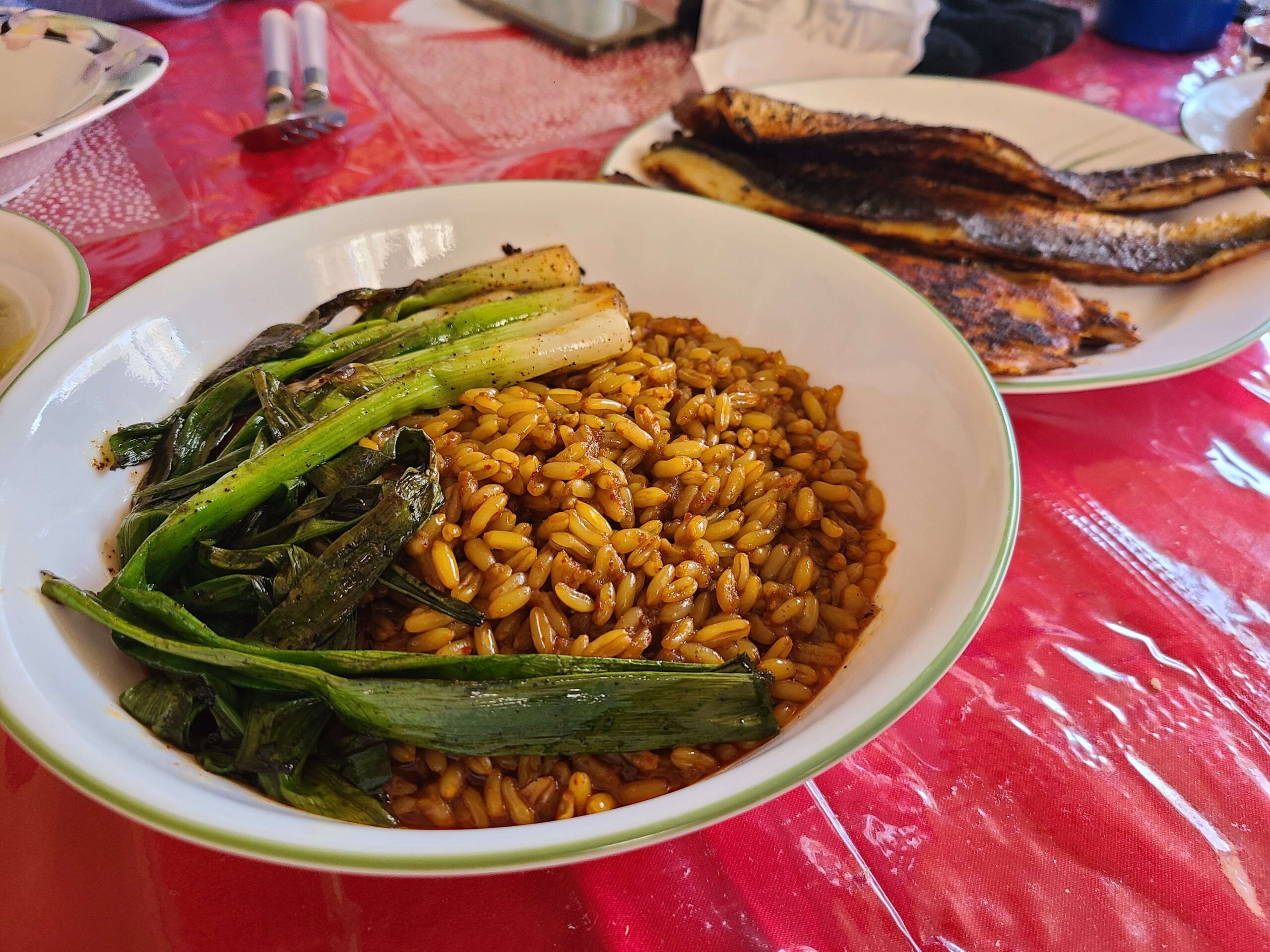 Kamut wheat pilaf with scallions and bronzino